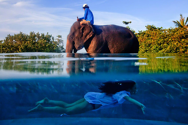 大象和游泳者（泰国 普吉岛）