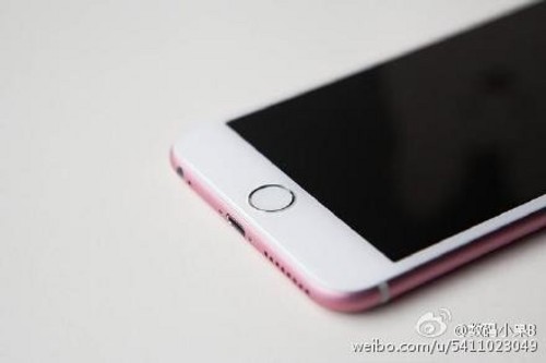 粉红iphone 6S曝光白带难改/凸出依旧
