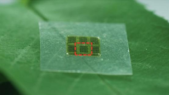 科学家研制出木头材质计算机芯片 环保可降解